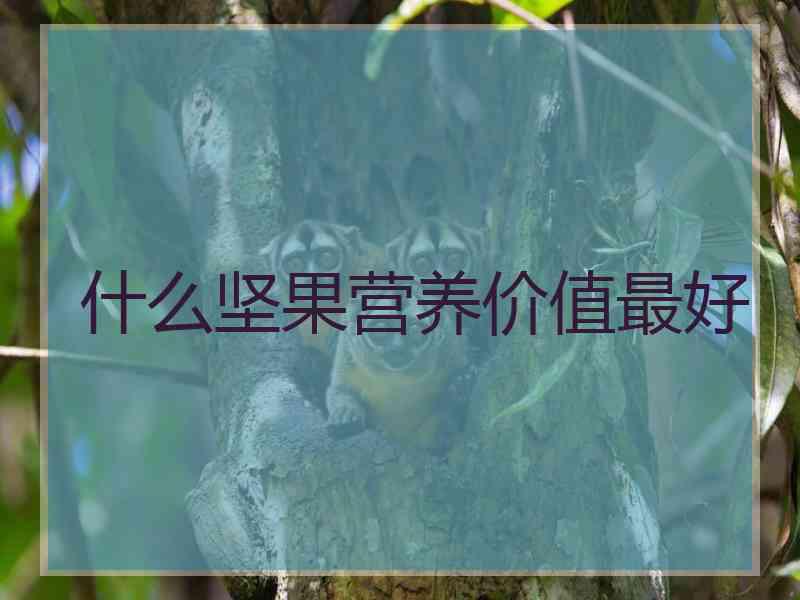 什么坚果营养价值最好