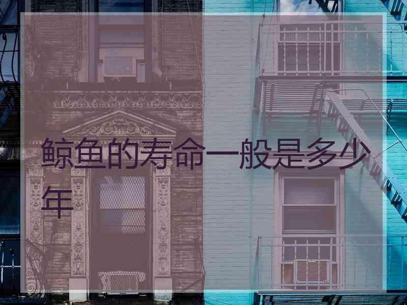 鲸鱼的寿命一般是多少年