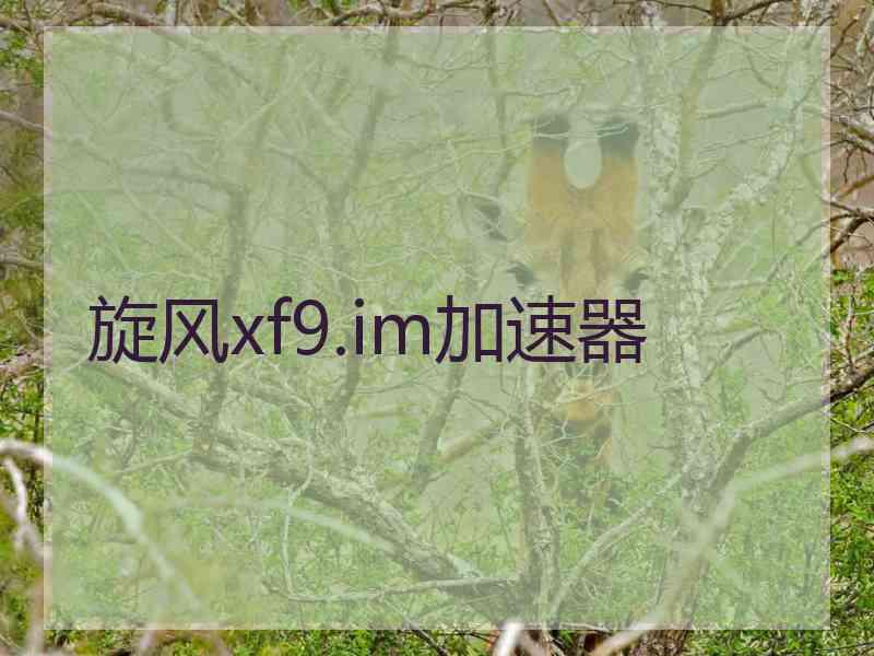 旋风xf9.im加速器