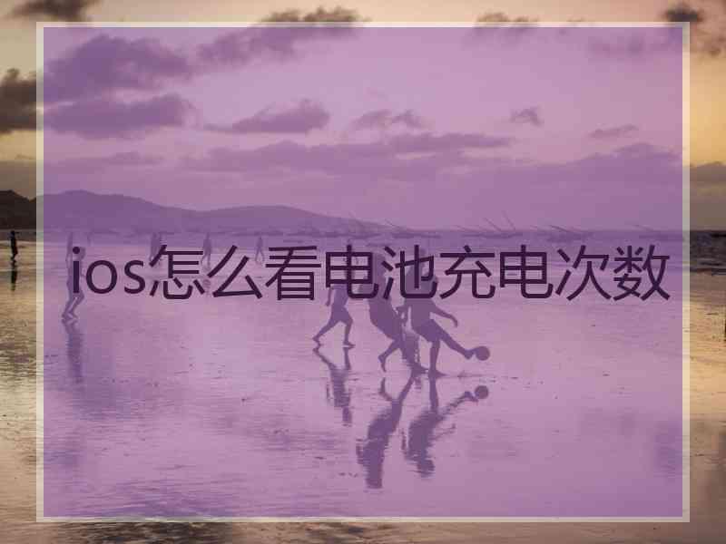 ios怎么看电池充电次数