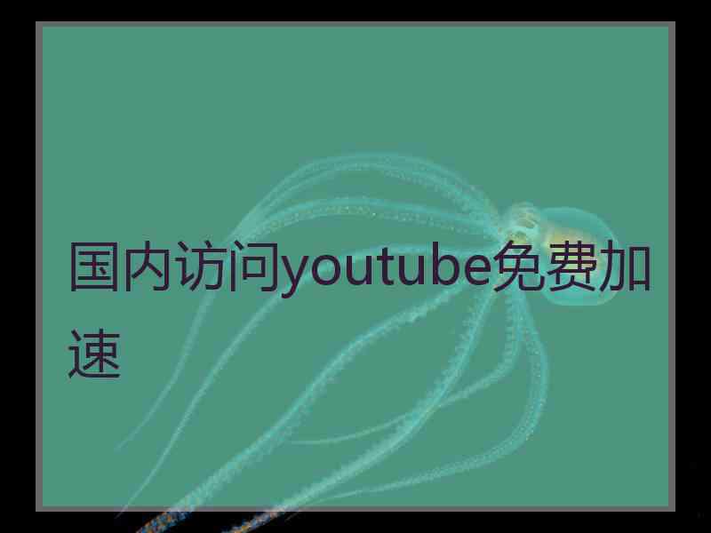 国内访问youtube免费加速