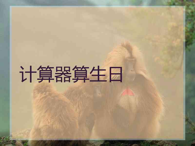 计算器算生日