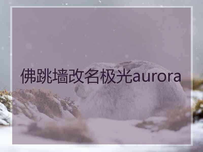 佛跳墙改名极光aurora