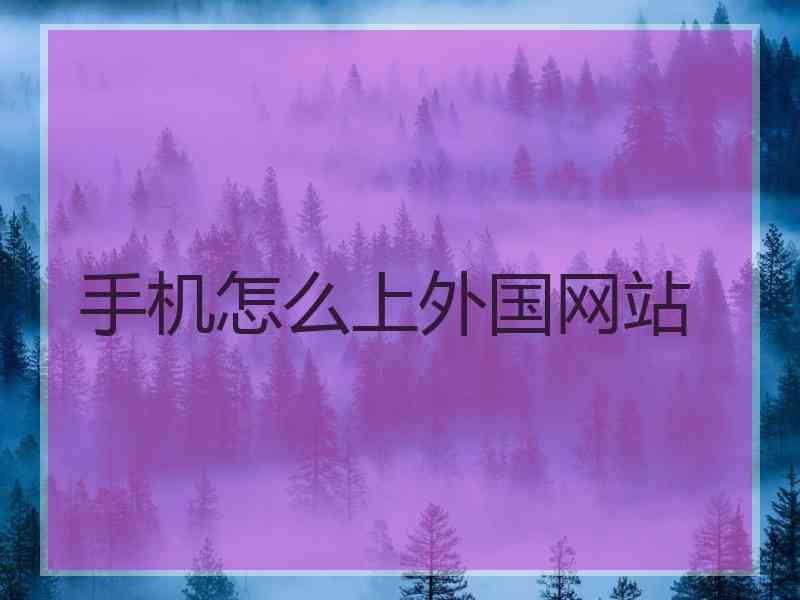 手机怎么上外国网站