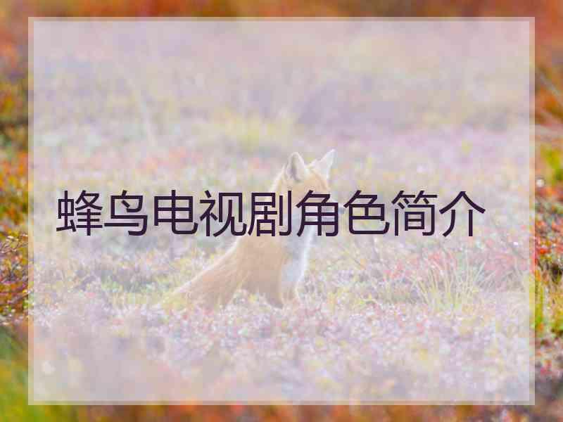 蜂鸟电视剧角色简介