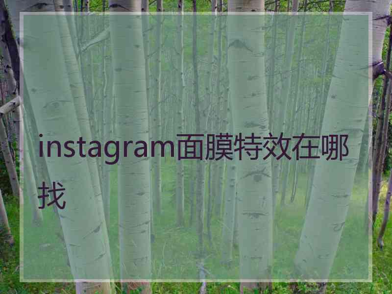 instagram面膜特效在哪找