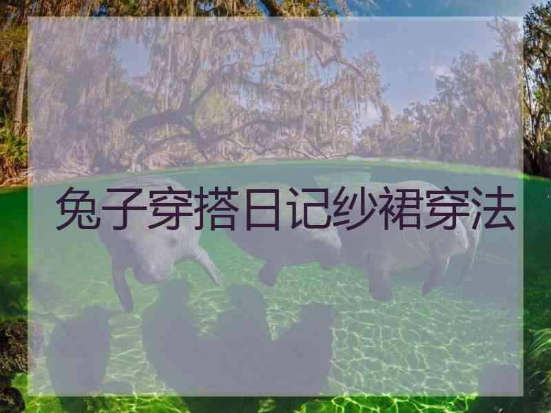 兔子穿搭日记纱裙穿法