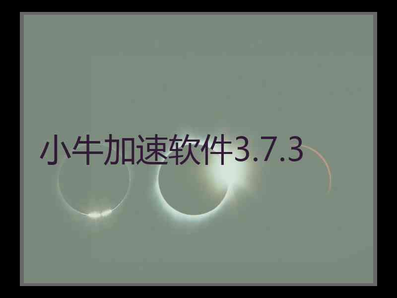 小牛加速软件3.7.3
