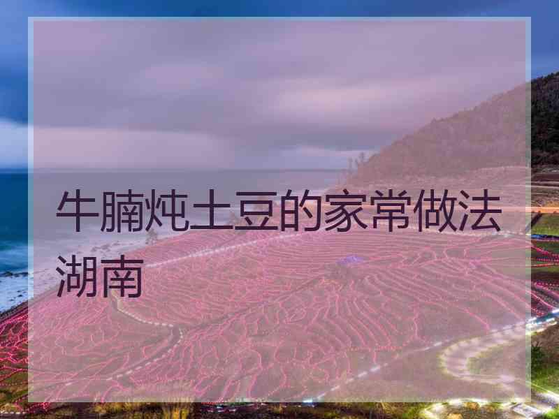 牛腩炖土豆的家常做法湖南