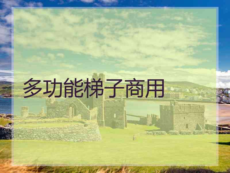 多功能梯子商用