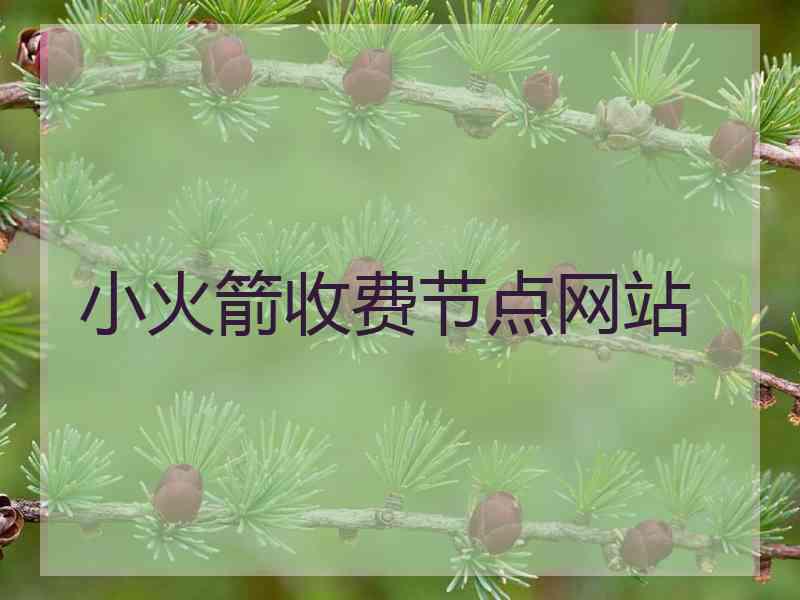 小火箭收费节点网站