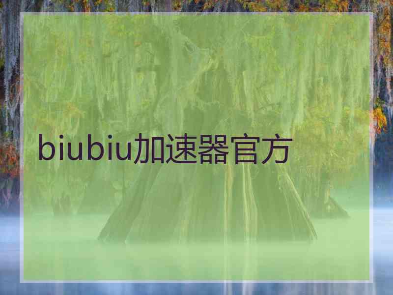 biubiu加速器官方