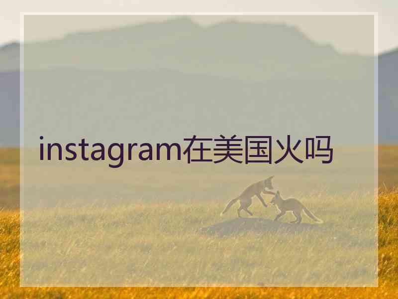 instagram在美国火吗