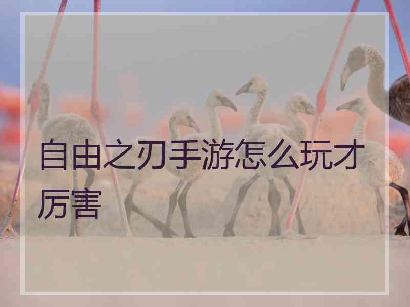 自由之刃手游怎么玩才厉害