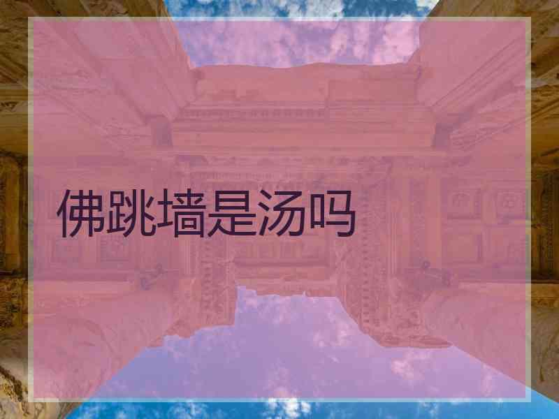 佛跳墙是汤吗