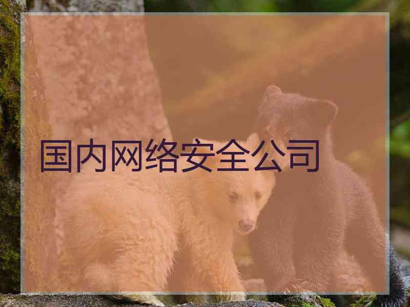 国内网络安全公司
