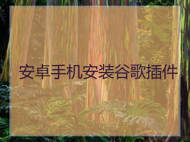 安卓手机安装谷歌插件