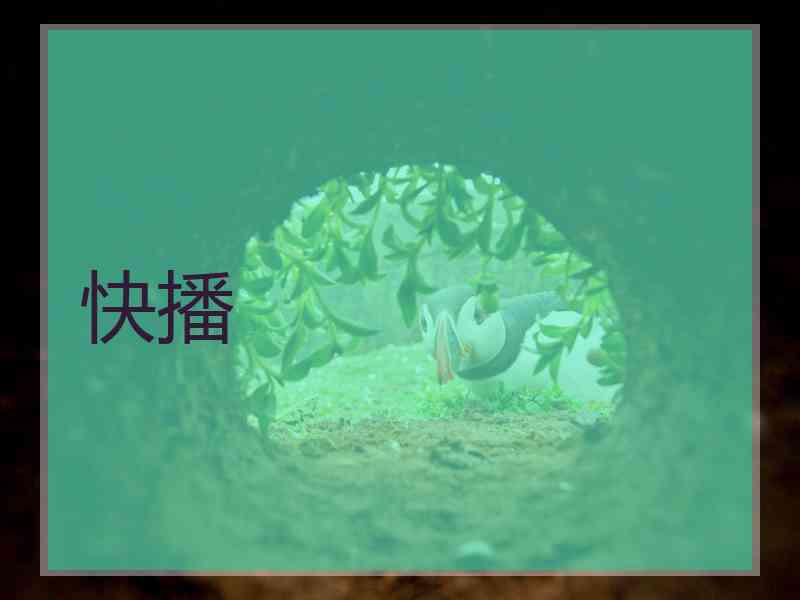 快播