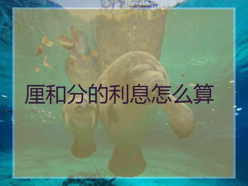 厘和分的利息怎么算