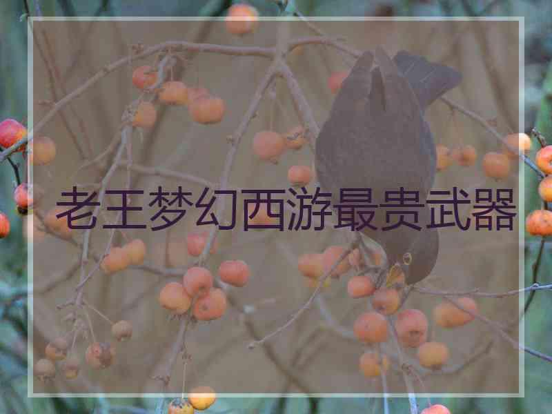 老王梦幻西游最贵武器