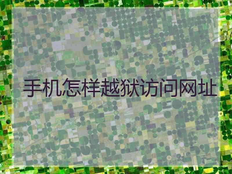 手机怎样越狱访问网址