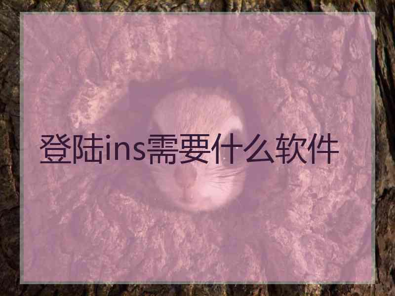 登陆ins需要什么软件