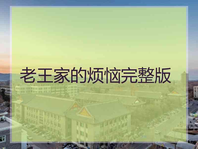老王家的烦恼完整版