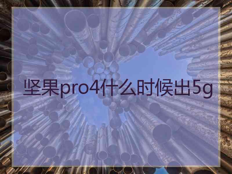 坚果pro4什么时候出5g