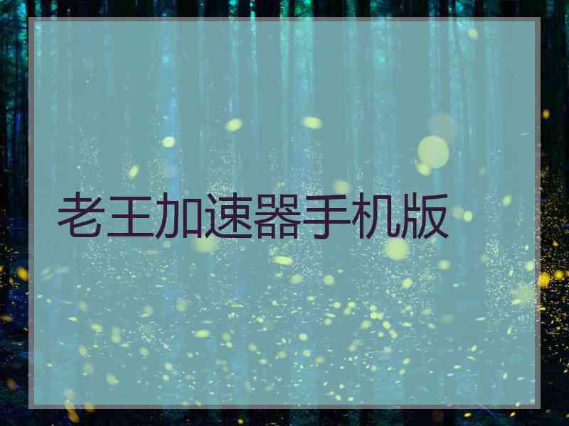 老王加速器手机版