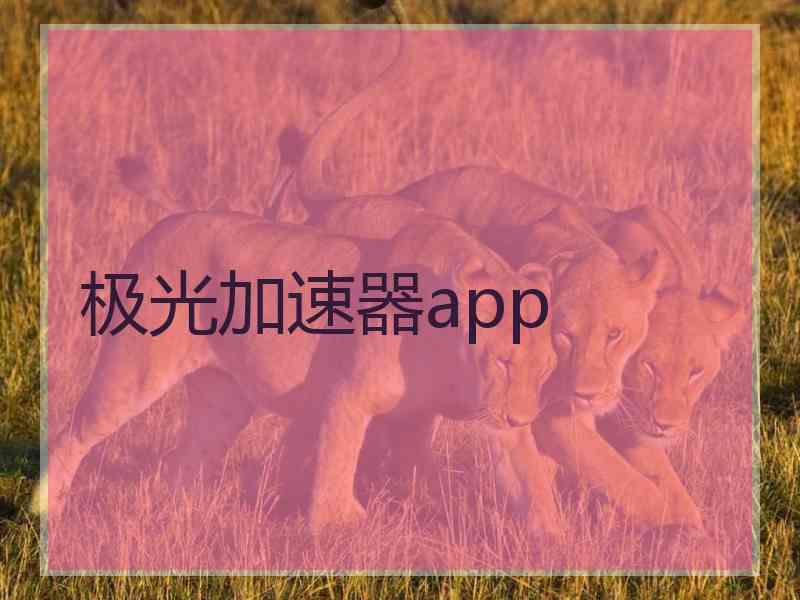 极光加速器app