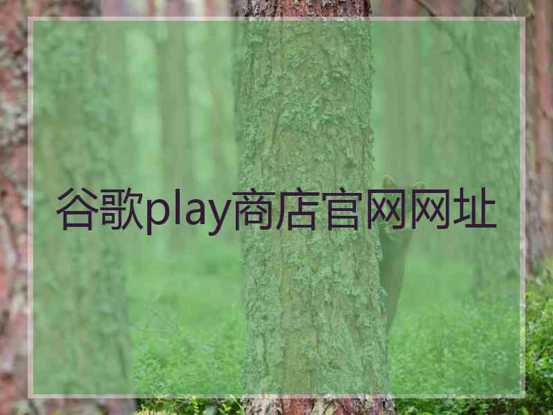 谷歌play商店官网网址