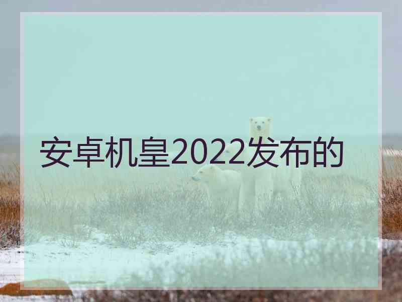 安卓机皇2022发布的