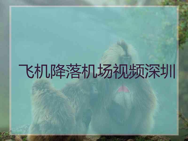 飞机降落机场视频深圳