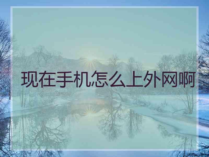 现在手机怎么上外网啊