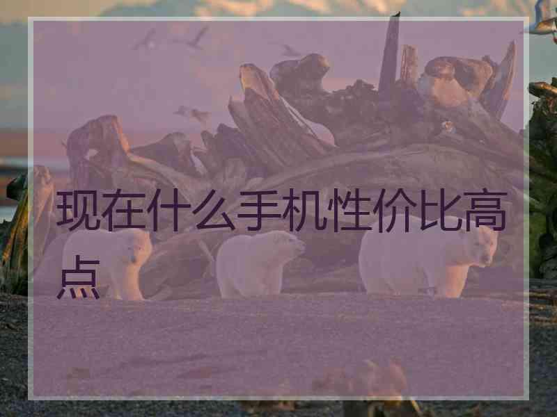 现在什么手机性价比高点