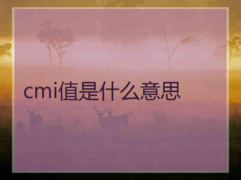 cmi值是什么意思