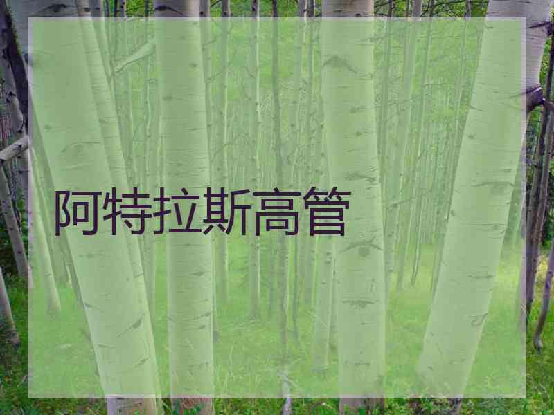 阿特拉斯高管