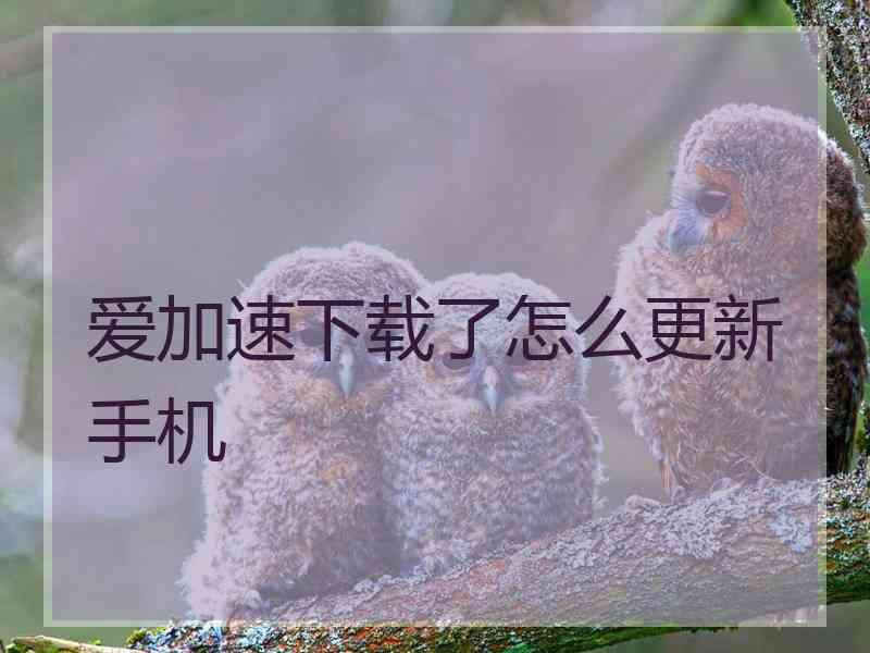 爱加速下载了怎么更新手机