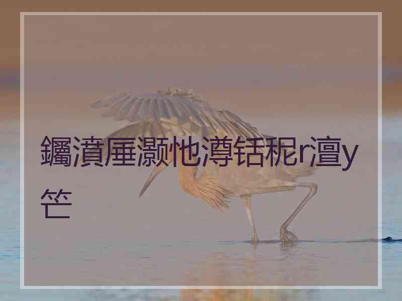 钃濆厜灏忚澊铦秜r澶у笀