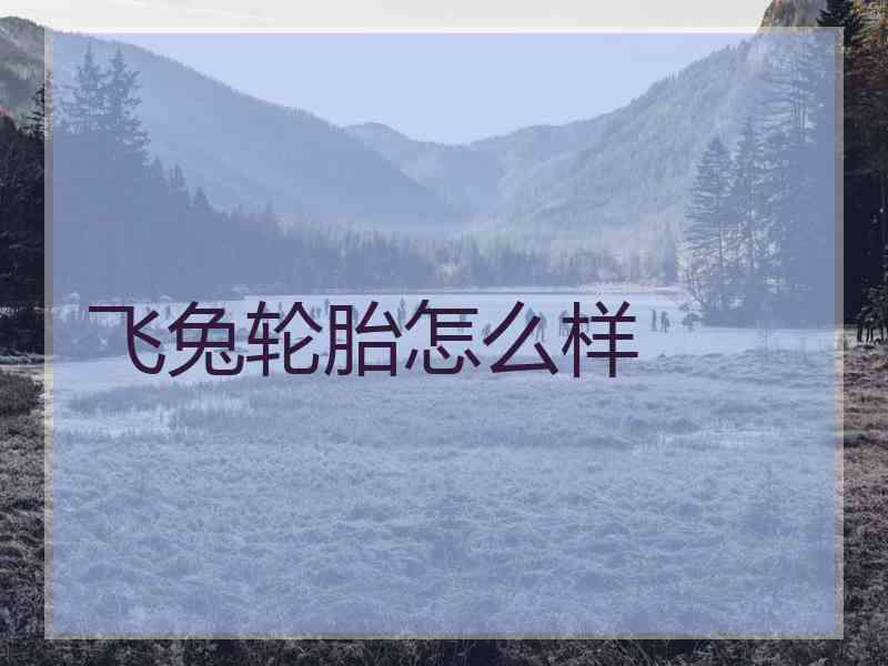 飞兔轮胎怎么样