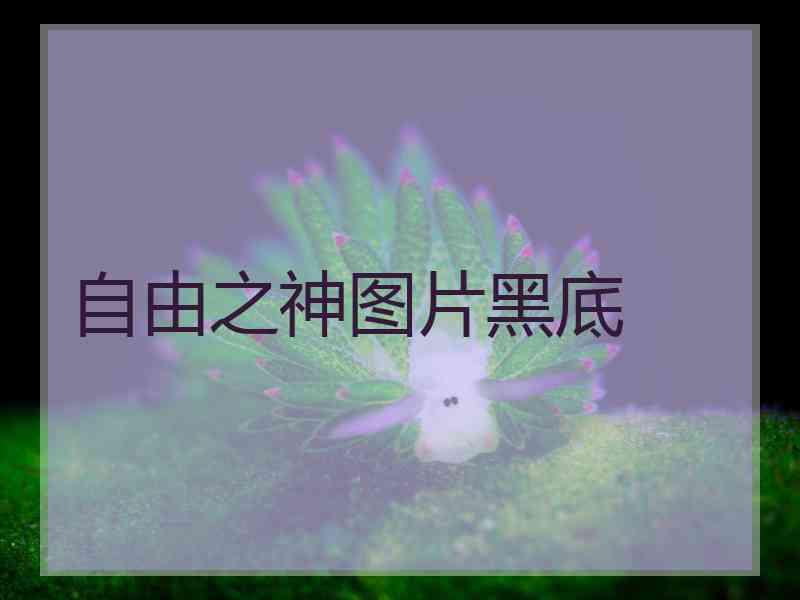 自由之神图片黑底