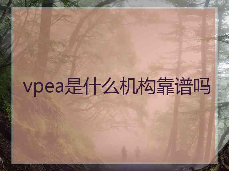 vpea是什么机构靠谱吗