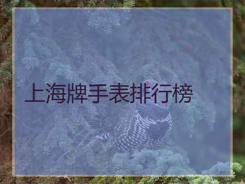 上海牌手表排行榜