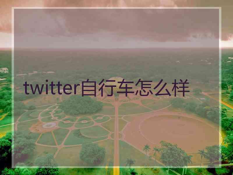 twitter自行车怎么样