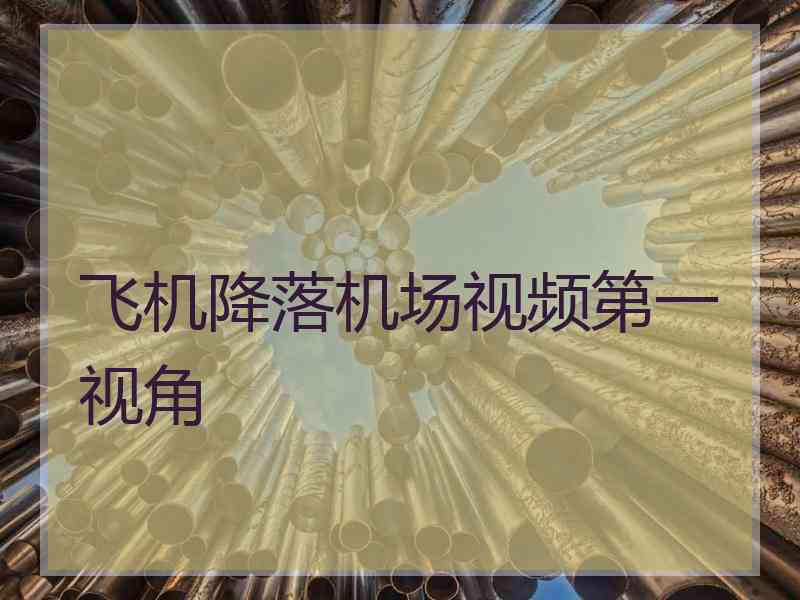 飞机降落机场视频第一视角