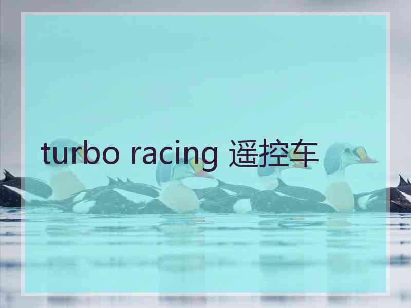 turbo racing 遥控车