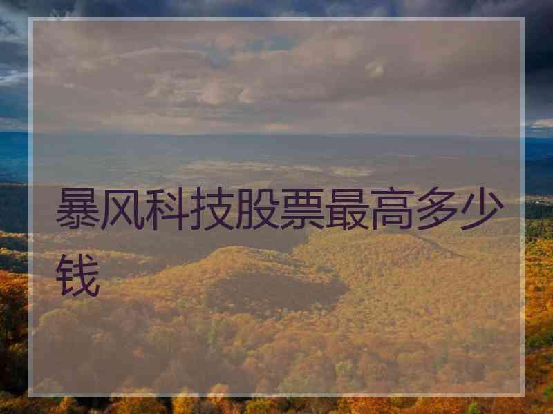 暴风科技股票最高多少钱