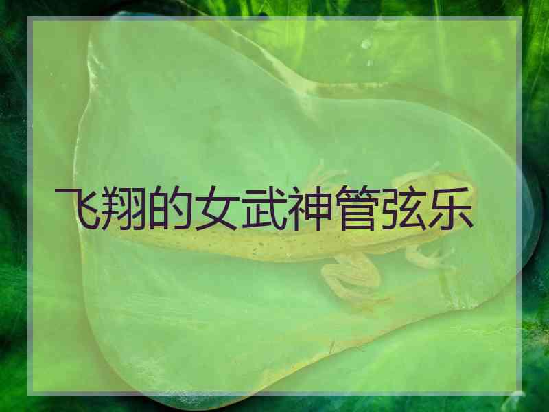 飞翔的女武神管弦乐