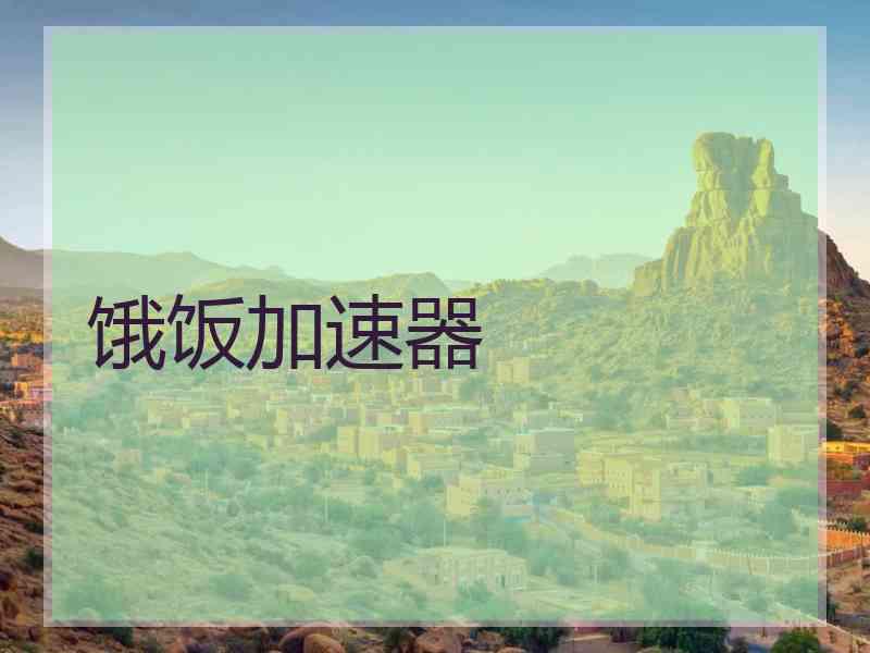 饿饭加速器