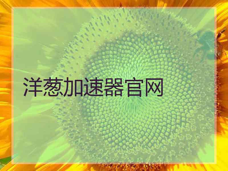 洋葱加速器官网